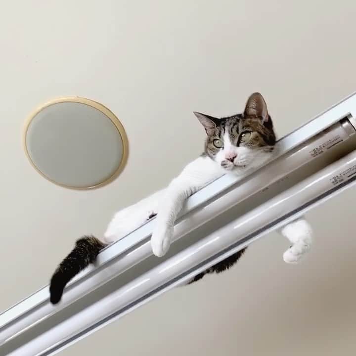 ?りっこ?のインスタグラム