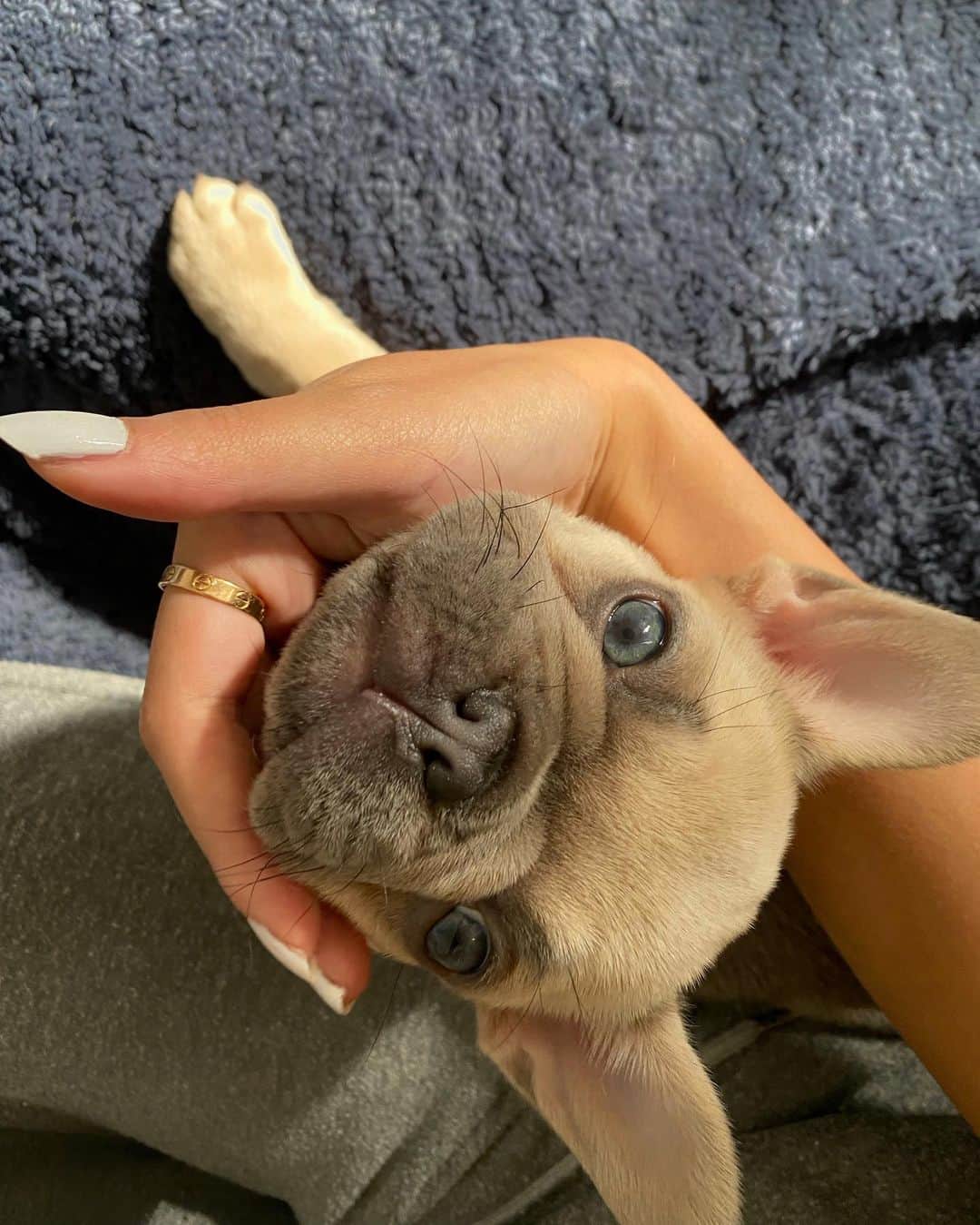リリーマイマックのインスタグラム：「Good morning! Happy Sunday 😊」