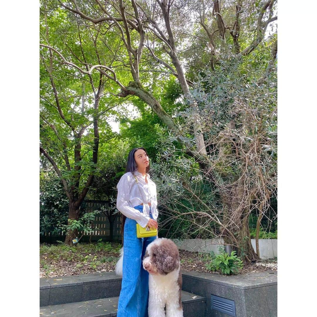 kokiさんのインスタグラム写真 - (kokiInstagram)「I wonder if we will be able to harvest a lot of Olives this year ! Now they're still green ☺️   もうオリーブが実りはじめました!   Bag @louisvuitton」8月22日 17時05分 - koki