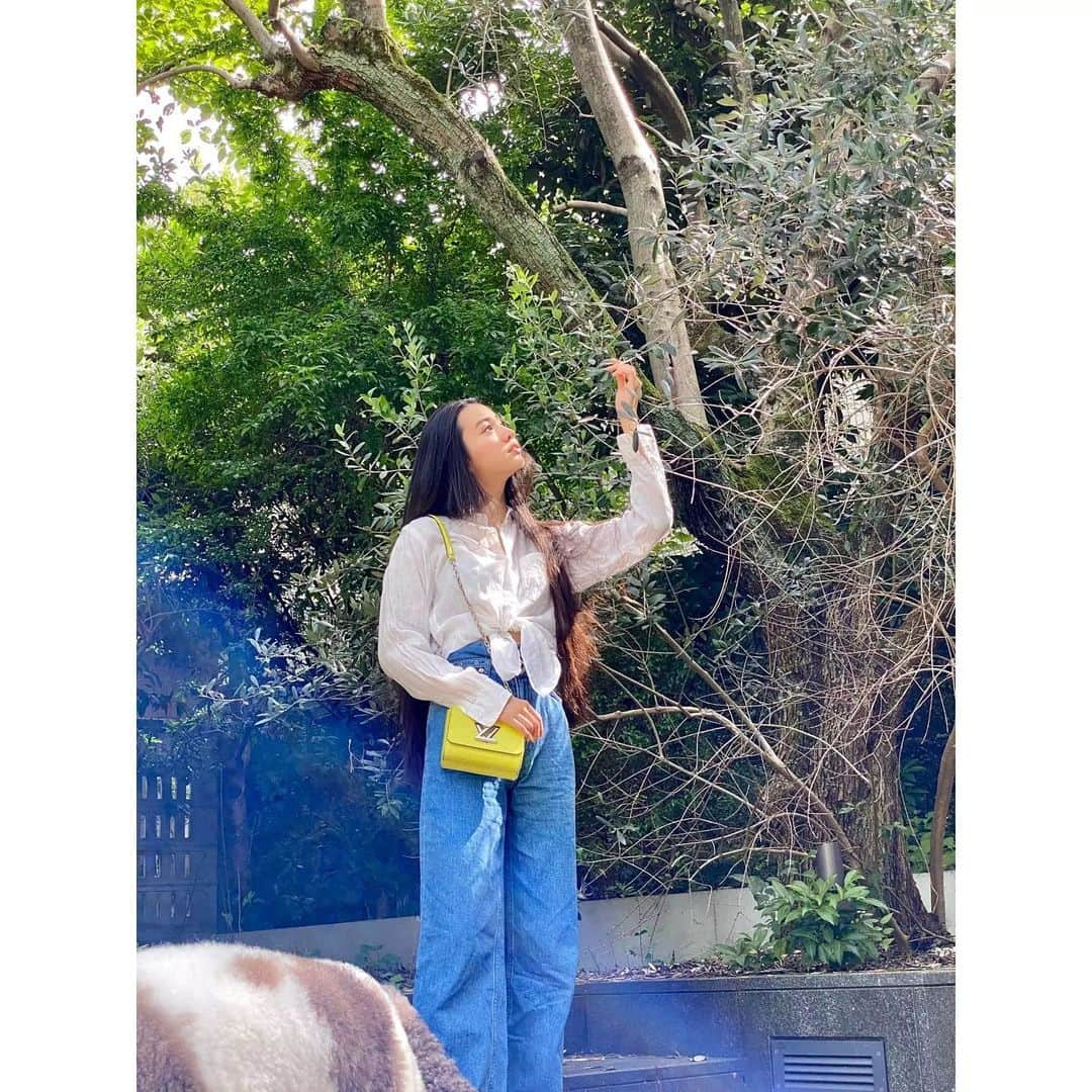 kokiさんのインスタグラム写真 - (kokiInstagram)「I wonder if we will be able to harvest a lot of Olives this year ! Now they're still green ☺️   もうオリーブが実りはじめました!   Bag @louisvuitton」8月22日 17時05分 - koki