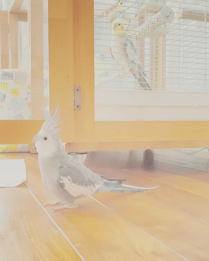 のインスタグラム