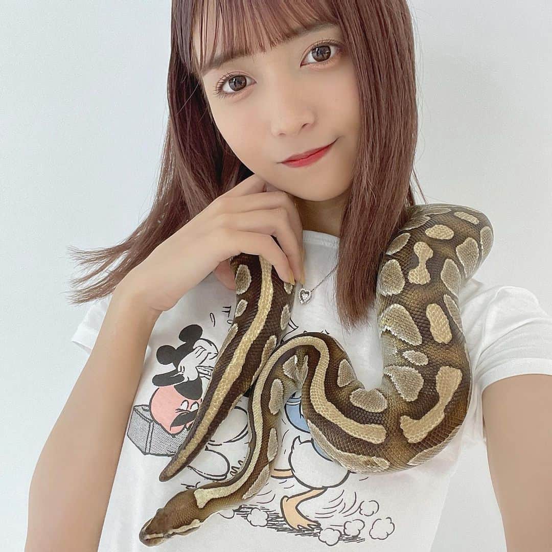 ゆんさんのインスタグラム写真 - (ゆんInstagram)「大蛇丸ゆんです。  ヘビさん可愛い🐍爬虫類かわいい🦎」8月22日 22時54分 - yuntaaam_s2