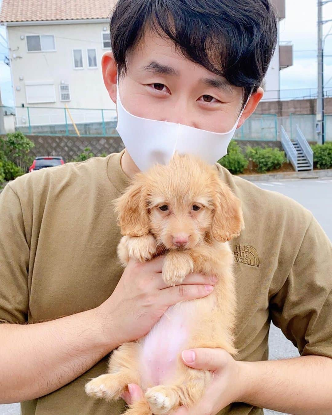 成田健人のインスタグラム：「成田、犬を飼う〜。 名前は『ビンゴ』です。 結夢が即決めました。 どうぞ皆さん新しい家族に会いに来て下さいな〜  #静岡沼津までお迎えに行った #もちろん樹の運転で #行き運転荒い #帰り安全運転 #このTシャツはおそらく元々白だった #ノースフェイスが肌に合わない #たつる食堂presents #さわやかハンバーグ  #最高に美味しかった #あのハンバーグだったら4キロ食える #当たり前じゃねーからな  #ご静聴ありがとうございました」