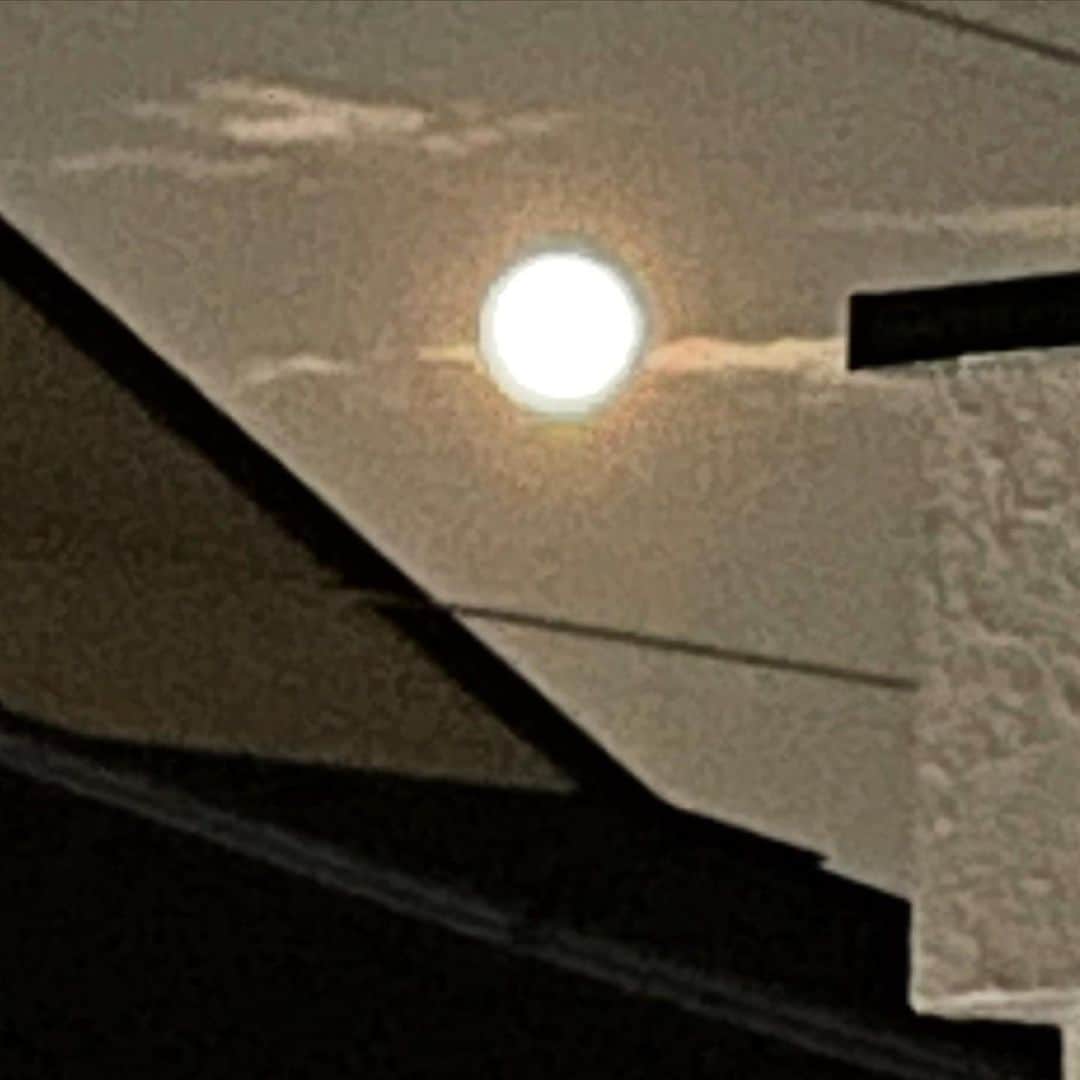 橋本志穂さんのインスタグラム写真 - (橋本志穂Instagram)「今日は月がオレンジ色で大きくて、、、 鐘楼まんじゅうみたいにまんまるで 綺麗でした。  一泊だけのお泊まり遠足だったミリーが 今夜もいる😁  鏡みてうっとりしてたり、 ヌーイとは違う性格で 笑えるところたくさん^_^」8月23日 23時19分 - shihohashimoto3