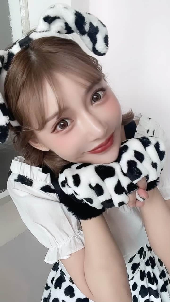 明日花キララのインスタグラム：「飼い主さまどこ？🐩」