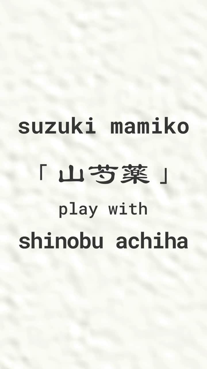 chelmicoのインスタグラム：「「山芍薬」の作曲を手がけた、shinobu achihaと鈴木真海子の歌唱映像👦🏻❣️ フル尺はまみちゃんインスタで！」