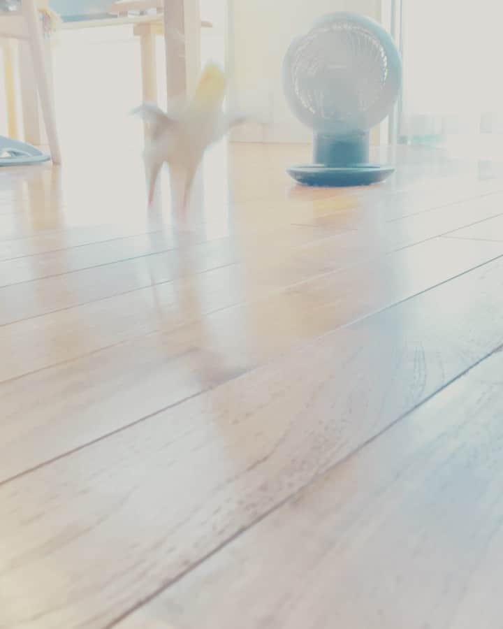 のインスタグラム