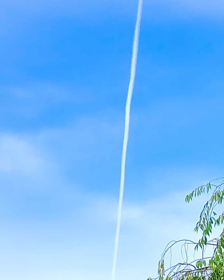 世良公則のインスタグラム：「・・・・・・  雨の日が続いた後の  久しぶりの晴天  蒼い空を1匹の  白き竜が昇って行く  吉兆なり  ・・・・・・  #世良公則 #masanorisera #japanesemusician #japaneseculture #竜 #昇竜 #dragon #吉兆 #luck」