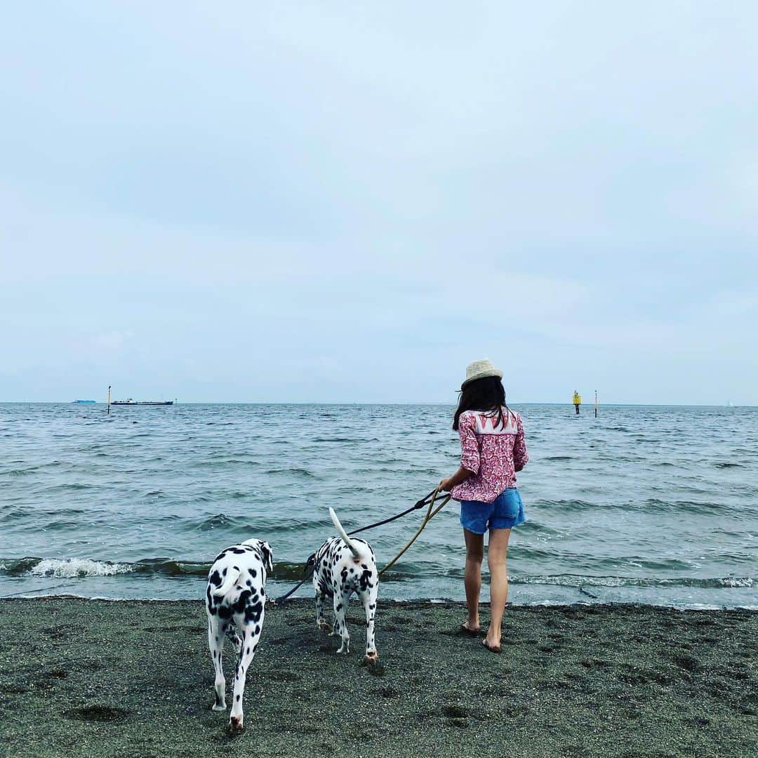 高岡早紀 さんのインスタグラム写真 - (高岡早紀 Instagram)「夏休みの最終日。 娘にせがまれて海へ。 そういえば、今年は海にも連れて行ってなかったのか… コロナ、一刻も早い終息を心より願います。。。」8月24日 20時33分 - saki_takaoka