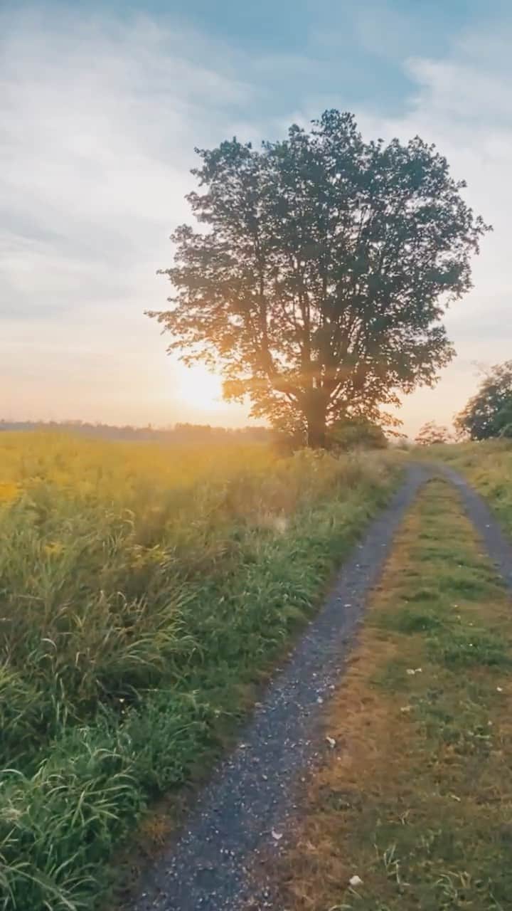 のインスタグラム：「From the vlog: A Sunday in the Countryside — now live 🤍」