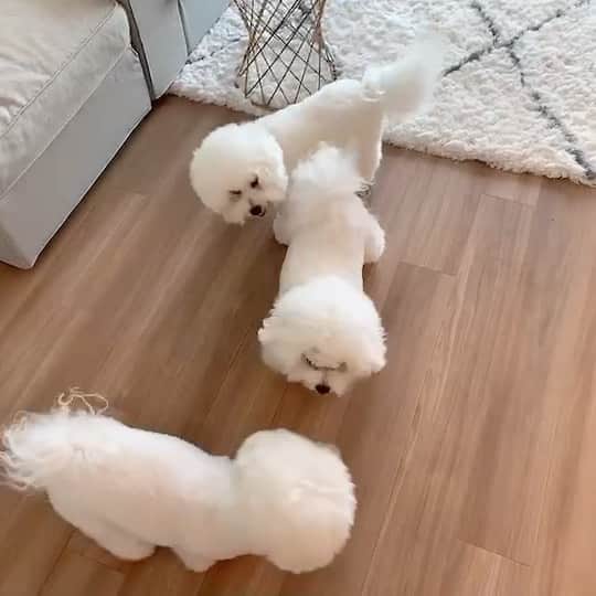 槙野智章のインスタグラム