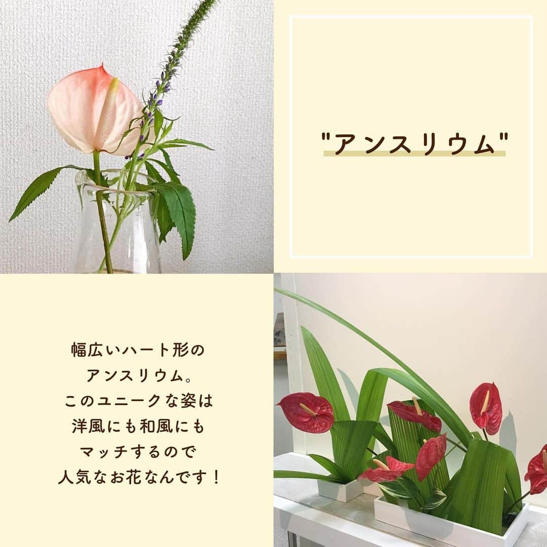 SUCLEさんのインスタグラム写真 - (SUCLEInstagram)「#8月の花   お花屋さんに行くと沢山の種類のお花が並んでいて迷ってしまいますよね！  今回は今の季節にピッタリなお花をご紹介🌸  ぜひ購入してお部屋に飾ってみてはいかがですか？？  photo by @_____a.douce.22   @sucle_ では紹介する写真を募集中👧🏻 タグ付けやハッシュタグをつけてくれた投稿からもピックアップした写真をリポストしています！ #sucle をつける か このアカウントをタグ付けして投稿してね📸  #花束 #花のある暮らし #お花 #花屋 #旬の花 #旬のお花 #旬の花を楽しむ #花のある生活 #花のあるくらし #花のある暮らし🌼 #お花インテリア #お花好きな人と繋がりたい #お花のある暮らしはじめました #お花を飾ろう#ひまわり #アフリカンマリーゴールド #クルクマ #ビバーナムコンパクタ #アンスリウム」8月1日 20時24分 - sucle_