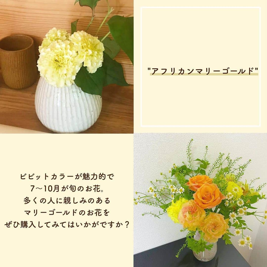 SUCLEさんのインスタグラム写真 - (SUCLEInstagram)「#8月の花   お花屋さんに行くと沢山の種類のお花が並んでいて迷ってしまいますよね！  今回は今の季節にピッタリなお花をご紹介🌸  ぜひ購入してお部屋に飾ってみてはいかがですか？？  photo by @_____a.douce.22   @sucle_ では紹介する写真を募集中👧🏻 タグ付けやハッシュタグをつけてくれた投稿からもピックアップした写真をリポストしています！ #sucle をつける か このアカウントをタグ付けして投稿してね📸  #花束 #花のある暮らし #お花 #花屋 #旬の花 #旬のお花 #旬の花を楽しむ #花のある生活 #花のあるくらし #花のある暮らし🌼 #お花インテリア #お花好きな人と繋がりたい #お花のある暮らしはじめました #お花を飾ろう#ひまわり #アフリカンマリーゴールド #クルクマ #ビバーナムコンパクタ #アンスリウム」8月1日 20時24分 - sucle_