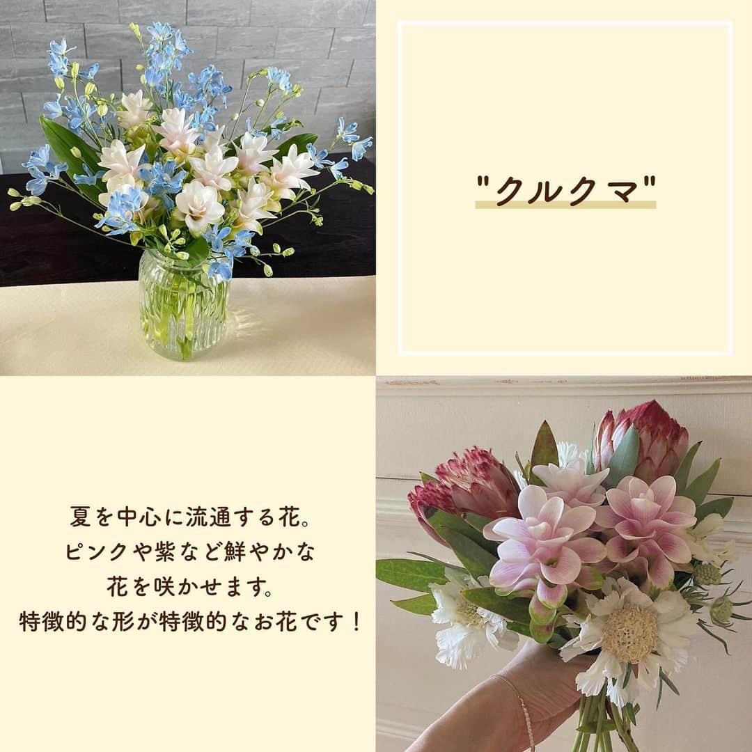 SUCLEさんのインスタグラム写真 - (SUCLEInstagram)「#8月の花   お花屋さんに行くと沢山の種類のお花が並んでいて迷ってしまいますよね！  今回は今の季節にピッタリなお花をご紹介🌸  ぜひ購入してお部屋に飾ってみてはいかがですか？？  photo by @_____a.douce.22   @sucle_ では紹介する写真を募集中👧🏻 タグ付けやハッシュタグをつけてくれた投稿からもピックアップした写真をリポストしています！ #sucle をつける か このアカウントをタグ付けして投稿してね📸  #花束 #花のある暮らし #お花 #花屋 #旬の花 #旬のお花 #旬の花を楽しむ #花のある生活 #花のあるくらし #花のある暮らし🌼 #お花インテリア #お花好きな人と繋がりたい #お花のある暮らしはじめました #お花を飾ろう#ひまわり #アフリカンマリーゴールド #クルクマ #ビバーナムコンパクタ #アンスリウム」8月1日 20時24分 - sucle_