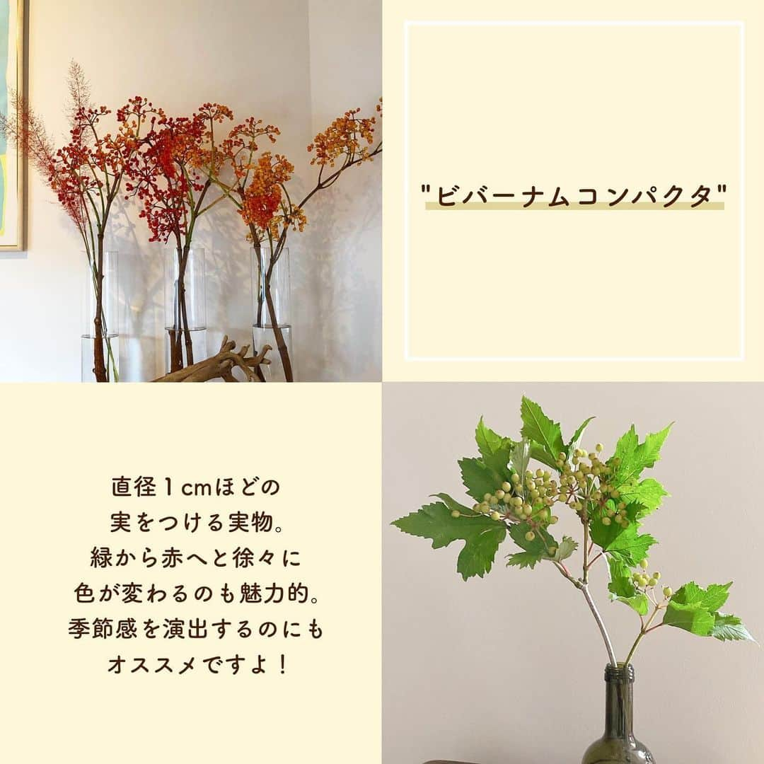 SUCLEさんのインスタグラム写真 - (SUCLEInstagram)「#8月の花   お花屋さんに行くと沢山の種類のお花が並んでいて迷ってしまいますよね！  今回は今の季節にピッタリなお花をご紹介🌸  ぜひ購入してお部屋に飾ってみてはいかがですか？？  photo by @_____a.douce.22   @sucle_ では紹介する写真を募集中👧🏻 タグ付けやハッシュタグをつけてくれた投稿からもピックアップした写真をリポストしています！ #sucle をつける か このアカウントをタグ付けして投稿してね📸  #花束 #花のある暮らし #お花 #花屋 #旬の花 #旬のお花 #旬の花を楽しむ #花のある生活 #花のあるくらし #花のある暮らし🌼 #お花インテリア #お花好きな人と繋がりたい #お花のある暮らしはじめました #お花を飾ろう#ひまわり #アフリカンマリーゴールド #クルクマ #ビバーナムコンパクタ #アンスリウム」8月1日 20時24分 - sucle_