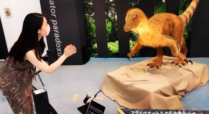 のインスタグラム：「恐竜がいた🦕🦖  #恐竜 #恐竜好き #意外と言われる #恐竜博物館 #福井県立恐竜博物館  #楽しかった #また行きたい #ジュラシックパーク #恐竜可愛い #恐竜と会話」
