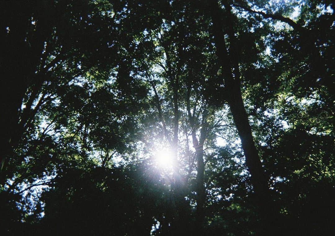 わちみなみのインスタグラム：「#film #filmphotography #filmcamera #film_jp」