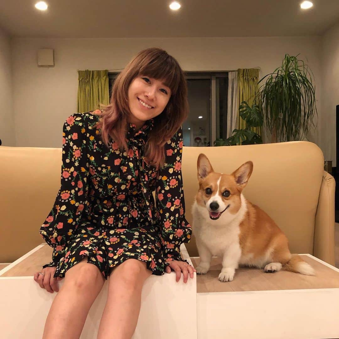 IMALUさんのインスタグラム写真 - (IMALUInstagram)「バルーと私でオンラインイベントを開催することになりました！  犬との生活を”ワン”アップグデードさせるため、プロフェッショナルな方々をお招きし、様々なテーマに沿って楽しく学んでいくイベントです。  犬に対しての考え方や飼い方って人によって違ったり、先生によっても意見が違ったりするものですよね。 私自身犬を飼い始めて20年以上経ちますが、慣れてくると自分なりの「飼い方」がいい意味でも悪い意味でも当たり前になっていくような気がしています。なので、新しい情報を知ったり、新しい意見を聞いたりして、自分なりの「飼い方」をどんどん更新して学んでいくことってとても大事だと思うのです。今回のイベントは自分にとって、そして皆さんにとって「飼い方」を見つめ直せるイベントになればいいなと思っております！みんなで犬との生活をアップグレードさせていきましょう〜！  主に犬を飼ってる人に向けたイベントではありますが、犬を飼ってる人じゃないとダメ！というルールは一切ありません❤️犬のお勉強内容がメインですが、それでもよければご参加ください。バルーグッツのデザイン会議もありますし、バルーが本番中寝ないよう（ウトウトする可能性大）見守り役もしていただければ嬉しいです！  ⬇️詳細はこちら⬇️  「おうちで学ぼう！IMALUとバルーの”ワン”講座」 ※オンラインはZOOMとなります  日程は8/22, 8/29, 9/5の3回！ 時間全部20:00~です！  8/22（日） テーマ「しつけ」with 水越美奈先生  8/29（日）テーマ「デイリーケア」」with 友森玲子先生  9/5（日）「食事」with 髙橋勇太先生・岩切裕布先生  参加したいテーマのみの参加もOKですし、３回セットになっている券もあります（こちらだとお得です） FURBOドッグカメラやル・クルーゼのペットボールなどなど豪華賞品が当たる抽選もありますよ〜〜！ 是非是非みなさん参加していただけたら嬉しいです！  チケット販売HPは @baloo.tokyo トップページからURLへ飛ぶことができます！チケットのご購入はなるべくお急ぎでお願いいたします...🔥  昨日インスタライブでもお伝えしたバルーグッツ第一弾に関してはまた詳しくアップしますね〜！  #corgi #コーギー #ワン講座」8月1日 19時19分 - imalu_0919