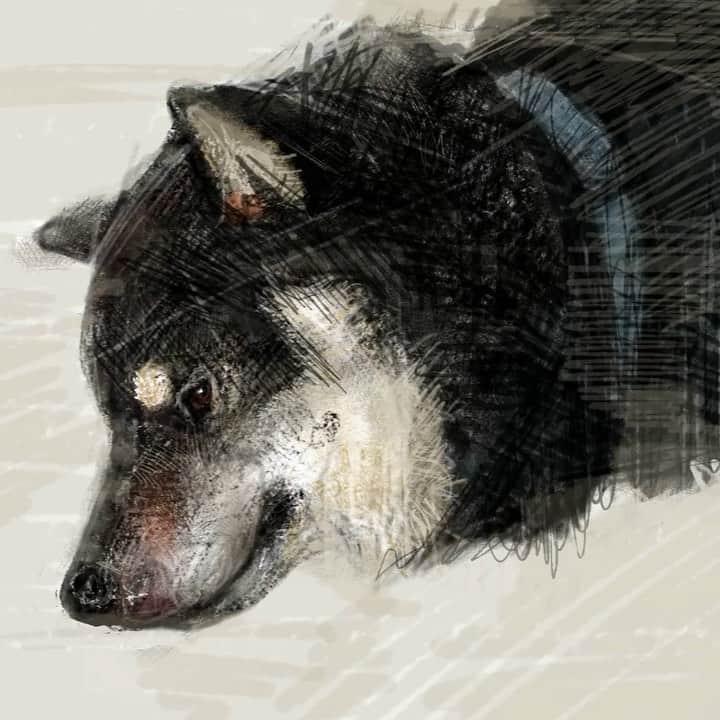 はしもとみおのインスタグラム：「iPadでスケッチ、アプリはprocreate  私はiPadで描く時もやっぱりモデルを見てのほうが描きやすいです。  デジタルスケッチやデジタルモデリングも、配信でおしゃべりしながらやってみたいけれど、ちょっと方法がまだわからないので夏休みの宿題にしますね。  #procreate #ipad #ipadair4」