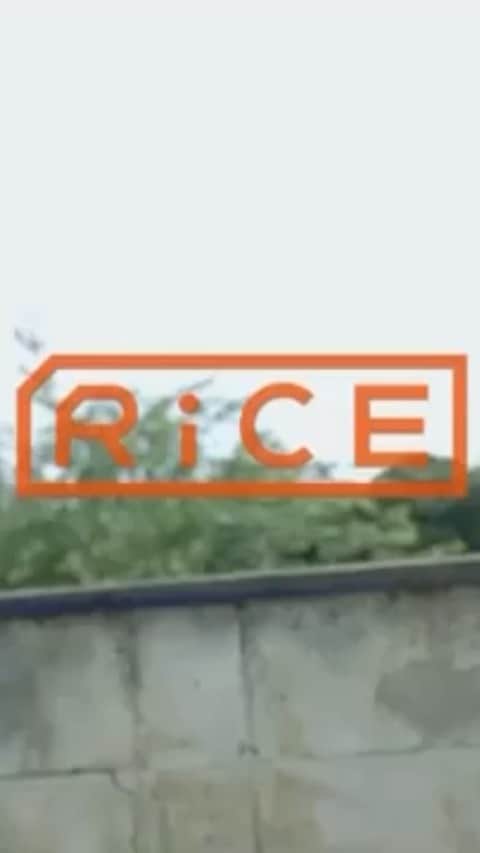 Rocoのインスタグラム：「#Repost @rice.press with @make_repost ・・・ .  代々木上原・二子玉川の人気店［按田餃子］のオーナーである按田優子さんが「三浦に引っ越す」という報がちょっとしたニュースになったのは、今年の早春のこと。 神奈川県・三浦半島の中でも、南に位置する三浦市は、東京湾と相模湾に囲まれた漁港と、潮風が吹き抜ける農地が織りなす多様性に満ちた街。  「身近な三浦の食材を包むこと」を按田さんにお願いすると、返ってきたメニューは、こちらの頭上の遥か斜め上を行く、なんと「海藻餃子」と「スイカの皮餃子」！  Cinematography @ooba_junya   #按田優子　@yukoanda #按田餃子 @andagyoza  #ricemagazine#水餃子#餃子#手作り餃子#三浦」