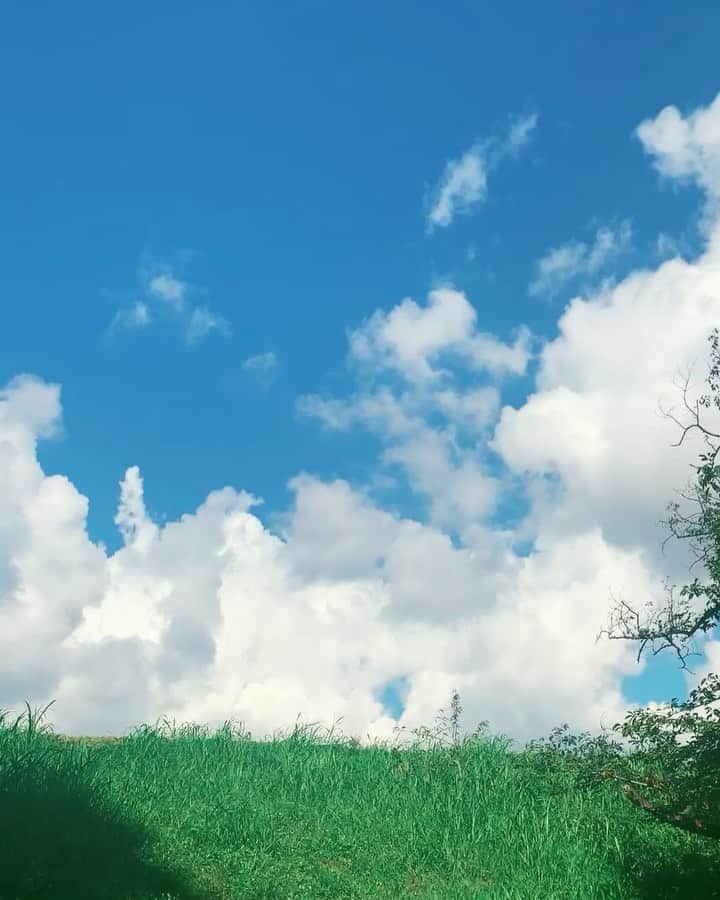 花盛友里のインスタグラム：「夏の音。 いい。  みんな汗だく！ 夏だねぇ。」