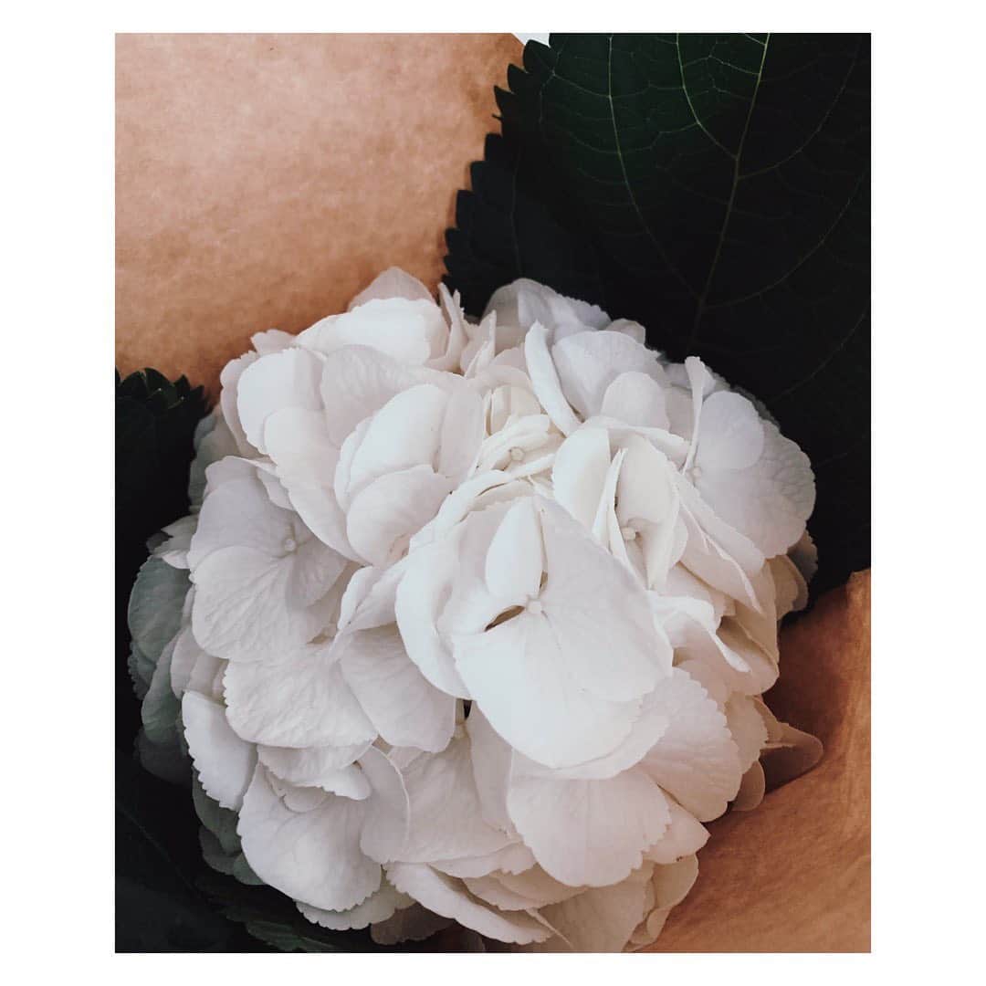安田聖愛さんのインスタグラム写真 - (安田聖愛Instagram)「⁡ 友達が突然家にやってきて 真っ白な紫陽花を私にプレゼントして去って行った笑 ⁡ 誕生日が6月だったから、そのプレゼントを届けに来てくれたみたいなんだけど、 かっこよすぎないか？！ また、真っ白な紫陽花ってところが素敵すぎる…！ (女の子) ⁡ 花言葉が　家族　なんだって！ 私の事をよく知ってくれているなぁと思ったよ☺️ ありがとう💓💓 ⁡ #突然の訪問者　#真っ白な紫陽花 #花言葉　#家族」8月2日 15時45分 - seiayasuda