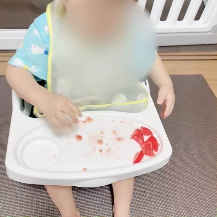 桜 稲垣早希のインスタグラム：「トマトを食べずに渡してくる #一歳五ヶ月 #嫌いな食べ物 #トマト苦手 #トトロのあのシーンを見せないと」