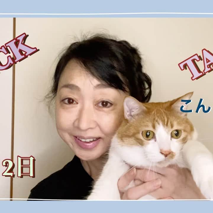 川上麻衣子のインスタグラム：「タックタックこんにちは#24 まさかの大好物に、猛反省中、、、  UPしましたー  https://youtu.be/bmGFt0cu-ZI」