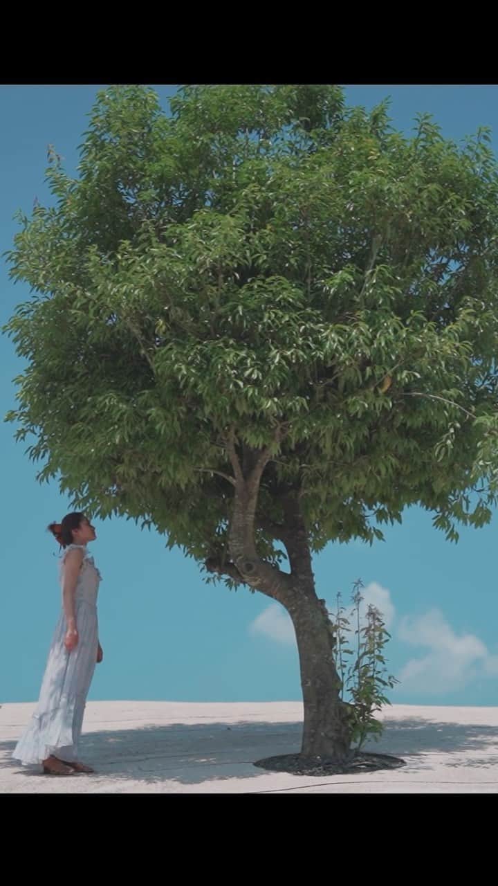 Ryosuke Sugayaのインスタグラム：「hair &direction miyu wada  make Hiroko  camera &edit ryosuke sugaya」