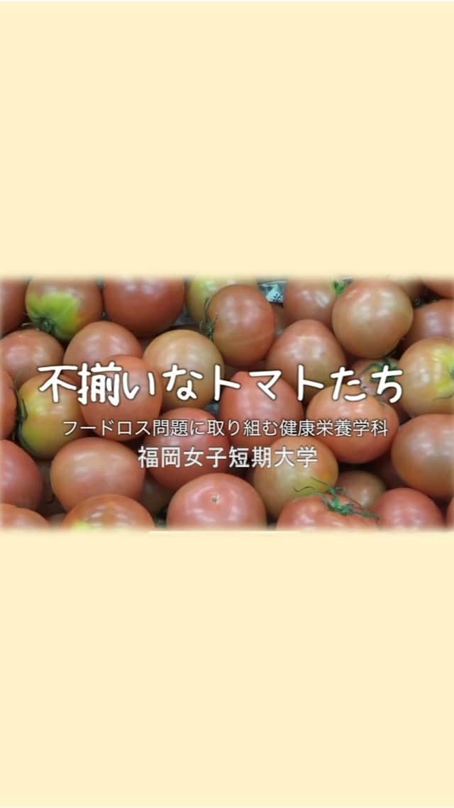 福岡女子短期大学のインスタグラム