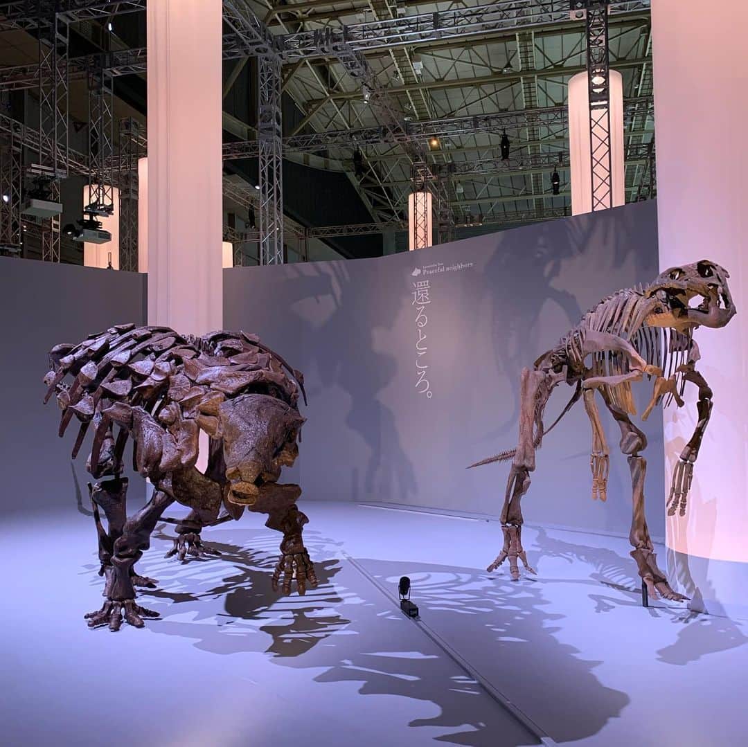 土屋伸之さんのインスタグラム写真 - (土屋伸之Instagram)「#このあと #DinoScience #恐竜科学博 #恐竜くんと巡るプレミアムオンラインツアー」8月2日 18時41分 - tsuchiyawosagase