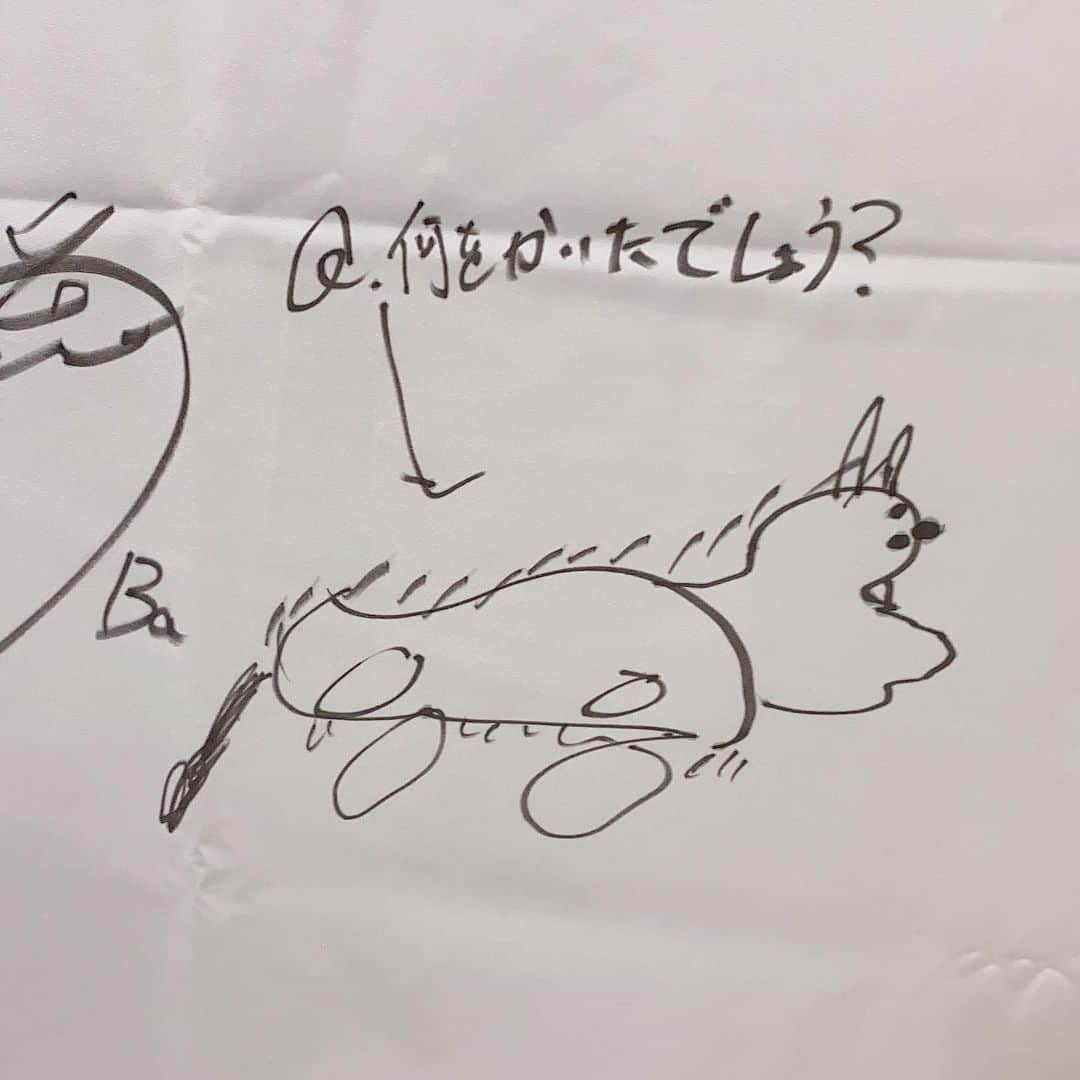 雫さんのインスタグラム写真 - (雫Instagram)「「フラッグにビビ描くか〜！」  「もぎぼた描き足しとこ」  「まあ俺の絵もギリ猫って分かるよね？」  「ハルシ、お手本がなければお前の絵なんてこんなもんなんだよ！ワハハ！じゃあ俺は犬描きますね」」8月2日 23時04分 - plkshizuku