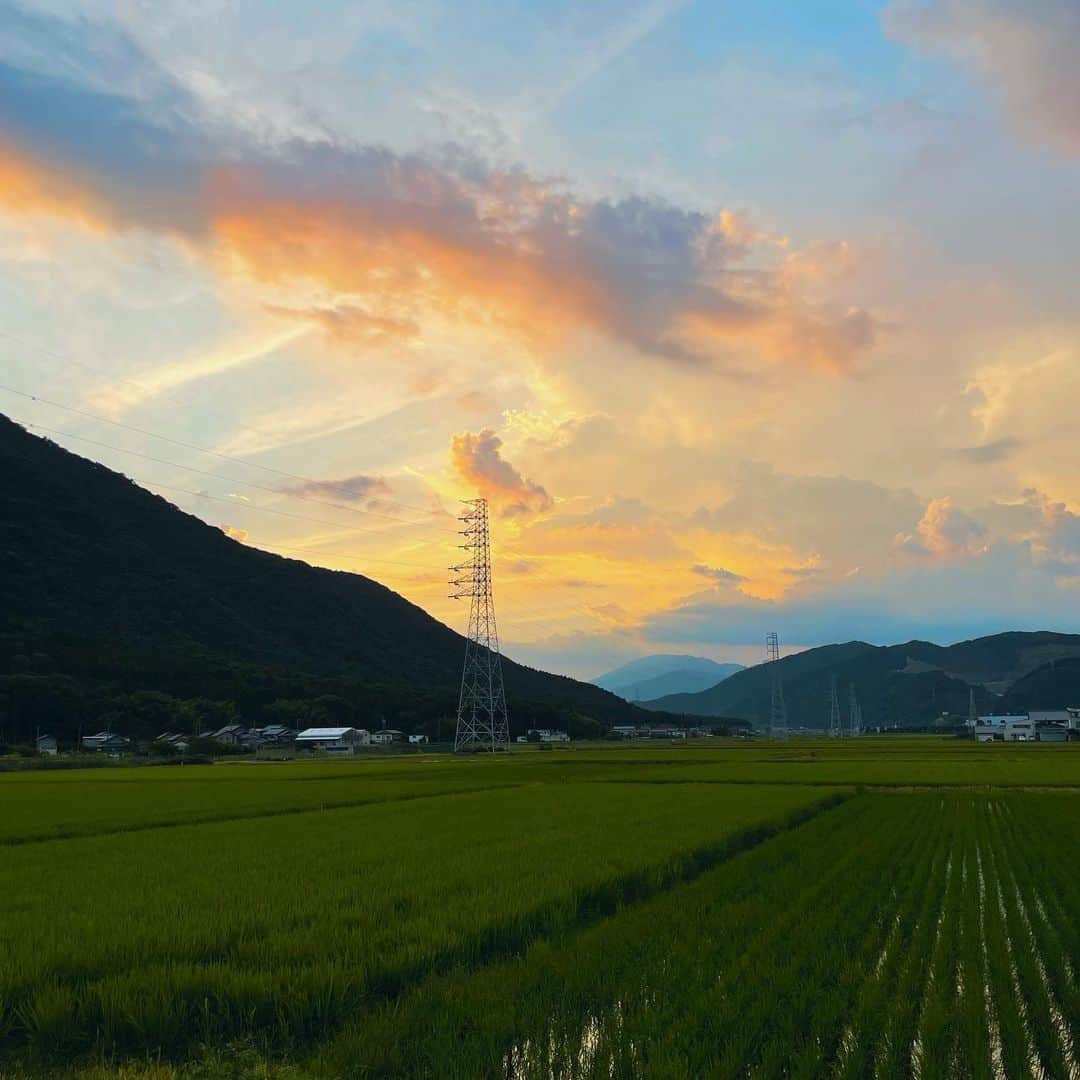 倉地美晴さんのインスタグラム写真 - (倉地美晴Instagram)「・ 夏らしい空が好き  #skyphotography #summersky #summer #夏 #夏空」8月3日 6時00分 - miharu_kurachi