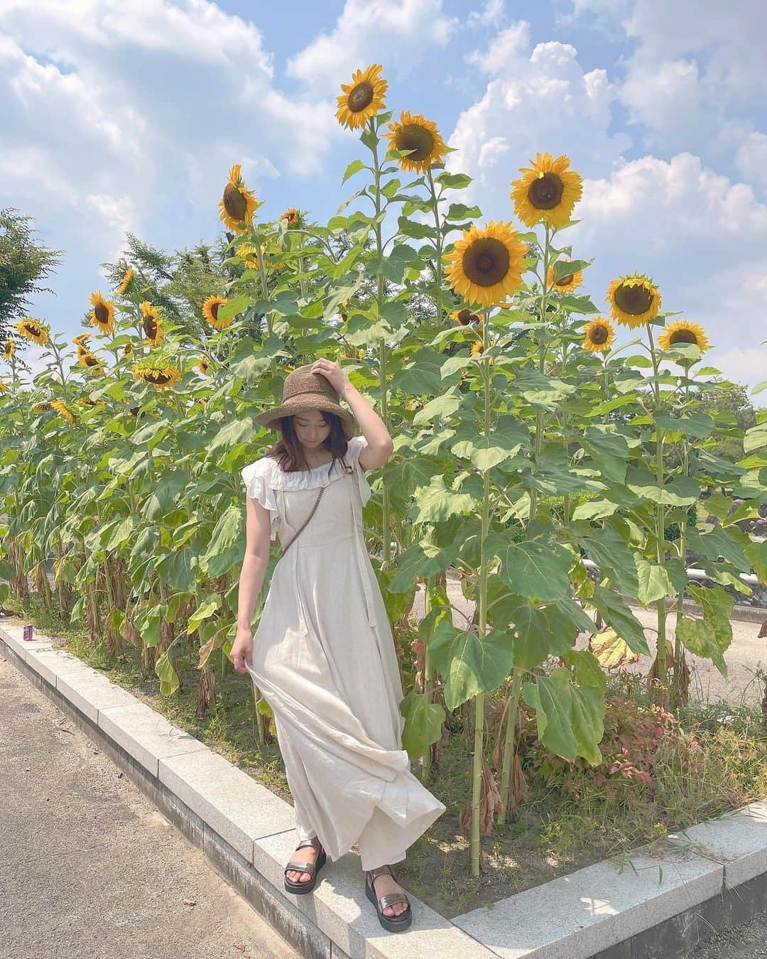 加藤夕夏さんのインスタグラム写真 - (加藤夕夏Instagram)「⁡ ⁡ ⁡ 🌻🌻🌻 ⁡ フォロワーさん 6.7万人になってる！ いつもありがとうございます🌻 ⁡ ⁡ ⁡ #万博公園　#👒 #途中でママの👒と交換した☺️w #ひまわり #sunflower #うかしふく #resortnista one-piece @tothesea_hawaii  ⁡ ⁡」8月3日 19時26分 - uuka_nmb