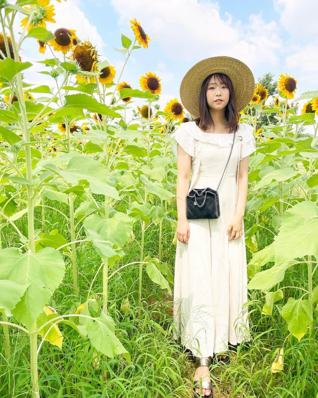 加藤夕夏さんのインスタグラム写真 - (加藤夕夏Instagram)「⁡ ⁡ ⁡ 🌻🌻🌻 ⁡ フォロワーさん 6.7万人になってる！ いつもありがとうございます🌻 ⁡ ⁡ ⁡ #万博公園　#👒 #途中でママの👒と交換した☺️w #ひまわり #sunflower #うかしふく #resortnista one-piece @tothesea_hawaii  ⁡ ⁡」8月3日 19時26分 - uuka_nmb