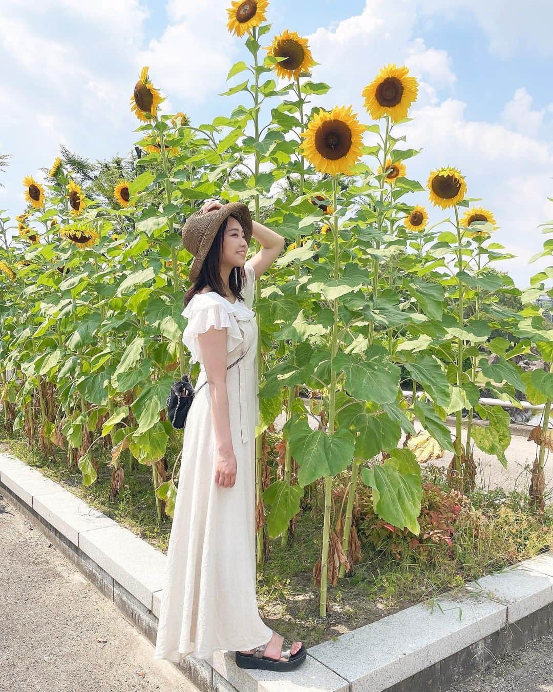 加藤夕夏さんのインスタグラム写真 - (加藤夕夏Instagram)「⁡ ⁡ ⁡ 🌻🌻🌻 ⁡ フォロワーさん 6.7万人になってる！ いつもありがとうございます🌻 ⁡ ⁡ ⁡ #万博公園　#👒 #途中でママの👒と交換した☺️w #ひまわり #sunflower #うかしふく #resortnista one-piece @tothesea_hawaii  ⁡ ⁡」8月3日 19時26分 - uuka_nmb