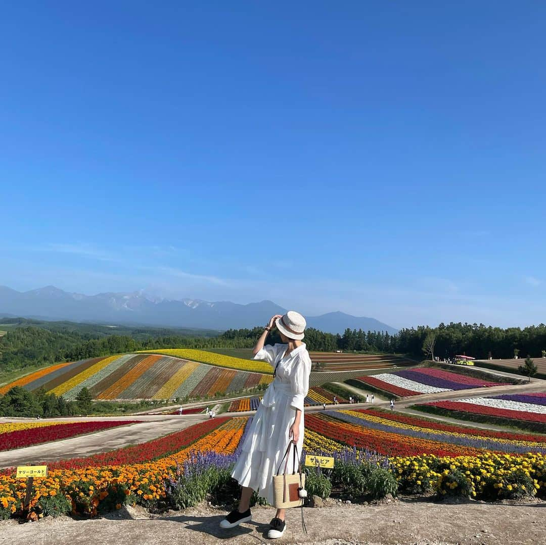 ななぴさんのインスタグラム写真 - (ななぴInstagram)「🌞  すごく綺麗な真っ青な空に 色んな色のお花畑💐  まるでジブリみたいな気分になれた  大自然に行きたくて ずっと行きたかった夏の北海道やっといけた😌✨  いろいろトラブルはあったけど とりあえず夏に北海道の大地に行けて 美味しいもの食べれて満足！ 次はまた行ききれなかったところにいこーっと🚗  北海道、何度でも行きたい🌻  #四季彩の丘  #夏の北海道旅行　#富良野　#富良野旅行　#絶景スポット　#白ワンピ　#花畑　#フォトジェニック　#ロエベ　#loewe #ホワイトコーデ　#夏ワンピ　#旅行コーデ　#ショートヘア　#ショートヘアコーデ　#カゴバッグ　#バケハ　#バケットハット」8月3日 19時27分 - __nanapgram__