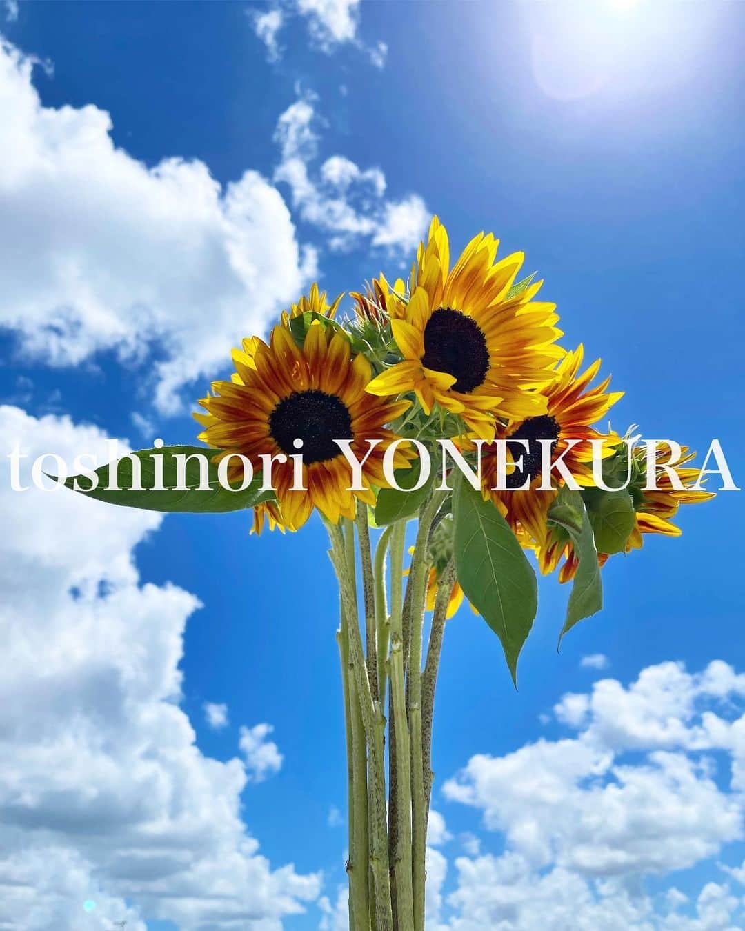 米倉利紀さんのインスタグラム写真 - (米倉利紀Instagram)「flowers of this week #男花 #花のある生活 #いい天気 #気分あげてこー」8月3日 14時33分 - toshi_yonekura