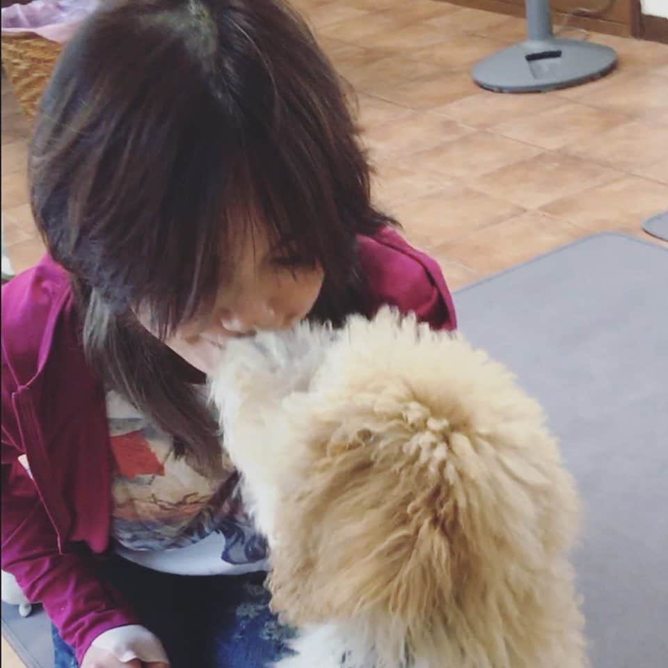 相川七瀬さんのインスタグラム写真 - (相川七瀬Instagram)「お友達のとこのわんちゃんに会いに行って来ました😊3ヶ月だって❤️可愛いー  #スタンダードプードル #いつか犬と暮らしたい」8月3日 15時01分 - nanasecat