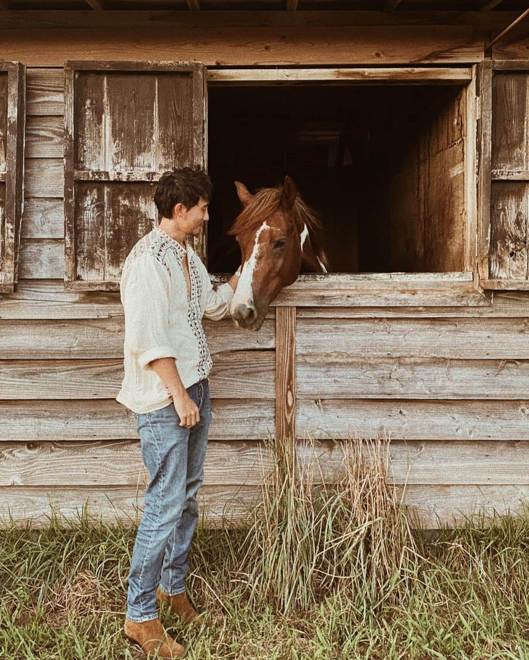 三浦大地さんのインスタグラム写真 - (三浦大地Instagram)「優しさに包まれた時間。  乗せてくれたライラありがと。  #horse #horseriding」8月3日 16時02分 - daichi_1127