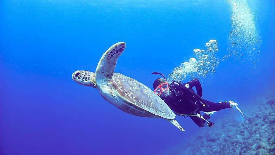 鈴木まりなのインスタグラム：「PADIのライセンス取りました🐢   #diving #scubadiving #miyakoisland #宮古島」