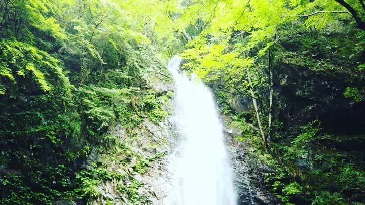 森郁月のインスタグラム：「テントを背負って🏕 明日またまた再放送します！ ⁡ NHKBSプレミアムにて、 2021年08月04日  午前10:29 ~ 午前11:28 (59分) ⁡ 先日告知が放送直前になってしまい、 見逃された方もいらっしゃったみたいで… すみませんでした〜((*_ _)💦 ⁡ 明日、 午前10:29 ~ 午前11:28  よろしくお願いします！ ⁡ 毎日暑い日が続いていますね☀️ 全身で滝を浴びて涼みたくなります。 来年こそは行けるといいな^^* 皆さんも熱中症には くれぐれもお気をつけくださいね🍧🌻 ⁡ ⁡ #テントを背負って #テント #山 #登山 #テント泊 #癒し #BGM #アウトドア #トレッキング #山ご飯 #蛍  #滝 #マイナスイオン #夏 #東京 #檜原村」