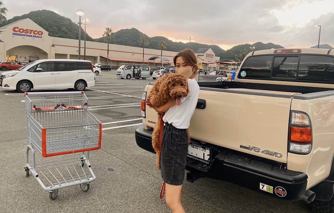 森山菜々のインスタグラム：「. はじめまして モアモアなモアナ、"モアちゃん"です🐻🤎  ミミちゃんの妊娠と出産、そしてミミベイビーたちの子育て月間だったから、紹介できてなかったんだけど少し前から新しく仲間入りしました🦴🤎  毎日わんわんパークすぎて かなり賑やかすぎます😉🏠🌈  #モア #MOA #ゴールデンドゥードル  #goldendoodle」