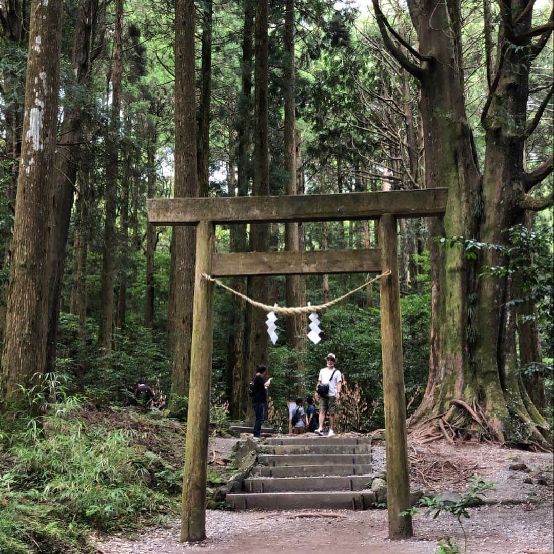 佐藤佳奈子さんのインスタグラム写真 - (佐藤佳奈子Instagram)「Feel the ancient spirits of #japan ⛩🌿  音楽祭期間中ほとんど遊びに行く時間が無かったけど、最終日前日に #最強パワースポット #霧島神宮 に一緒に行ってくれたみほちゃん @mihosuzuki_0101 ありがとう！  #kirishima #jingu #shrine #nature #日焼けやばい」8月3日 23時55分 - kaanaakoo28