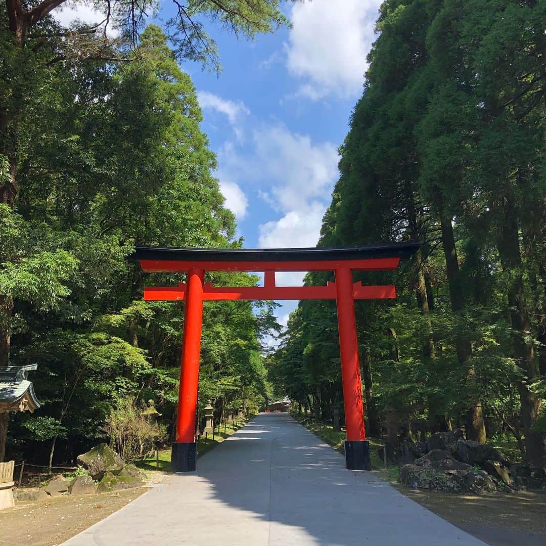 佐藤佳奈子さんのインスタグラム写真 - (佐藤佳奈子Instagram)「Feel the ancient spirits of #japan ⛩🌿  音楽祭期間中ほとんど遊びに行く時間が無かったけど、最終日前日に #最強パワースポット #霧島神宮 に一緒に行ってくれたみほちゃん @mihosuzuki_0101 ありがとう！  #kirishima #jingu #shrine #nature #日焼けやばい」8月3日 23時55分 - kaanaakoo28