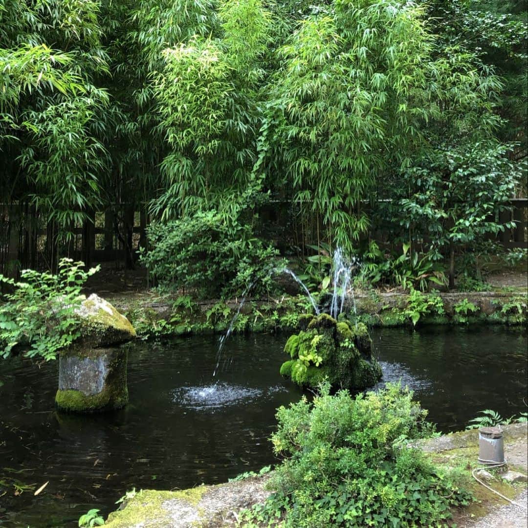 佐藤佳奈子さんのインスタグラム写真 - (佐藤佳奈子Instagram)「Feel the ancient spirits of #japan ⛩🌿  音楽祭期間中ほとんど遊びに行く時間が無かったけど、最終日前日に #最強パワースポット #霧島神宮 に一緒に行ってくれたみほちゃん @mihosuzuki_0101 ありがとう！  #kirishima #jingu #shrine #nature #日焼けやばい」8月3日 23時55分 - kaanaakoo28