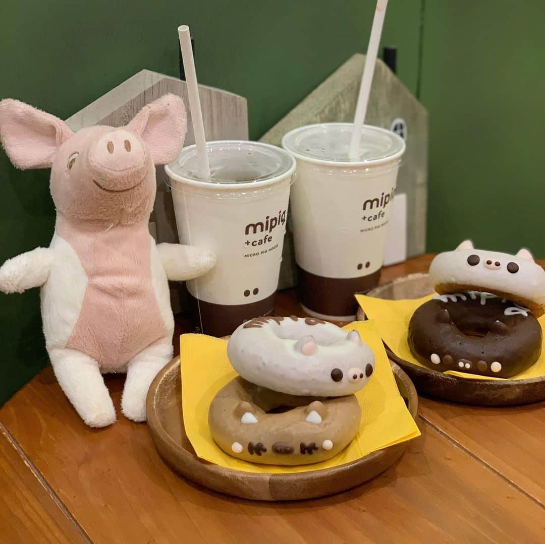 吉川ちかさんのインスタグラム写真 - (吉川ちかInstagram)「昨日は癒しを求めて原宿にある (@mipigcafe )へ🐷💕 . マイピッグカフェは マイクロブタと触れ合えるの👋 完全予約制です！ . 何故か私の所に豚さんが たくさん寄ってきて 足が痺れるかと思った🤣💓笑 めちゃくちゃ癒し！ . ちゃんとトイレもトイレシートで してたし、お利口さんでした🥺💓 とにかく母性本能くすぐられたよ！ 癒しの時間をありがとう☺️ . #マイピッグカフェ#豚カフェ#🐷#マイクロブタ#可愛い#動物カフェ#マイクロブタカフェ#原宿カフェ#癒しの時間#癒しをありがとう」8月4日 6時12分 - yoshikawachika_1116