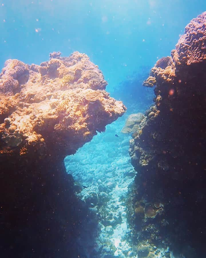 ToyoMaruのインスタグラム：「癒しをお届け🌈✨🧜‍♀️  海の中から見る太陽のキラキラ🌞  たまらーーーーん♡♡♡  いいね👍をポチって貰えると 励みになります🙇‍♀️✨w  🇯🇵okinawa japan 📍kamiyama island  #アナタニミセタイケシキ  #とよまるツアー  #toyomaru号   「控えめに言って、最高💙」  みんなで海遊び楽しみましょぉおお🏖 #okinawajapan   最高にhappyパワースポット🌈  秘密のインスタ映え🏖 無人島ツアー開催中🚤  沖縄本島から船で約40分の無人島へ🏝  海況が許す限り、毎日開催しております✨  綺麗な空気と、綺麗な空🌞  ちょっと足を伸ばして、 綺麗な海で遊びませんか❓🐠  ご予約&お問い合わせお待ちしてます🧜‍♀️🧜‍♂️  #沖縄 #沖縄旅行 #okinawa  #スキンダイビング #skindiving  #無人島 #水着 #ビキニ  #慶良間諸島 #ドローン #dji  #インスタ映え #ジェットスキー  #海 #travel #japan #sea  #網美景點 #沖繩 #沖繩旅遊 #慶良間諸島 #潛水 #自由潛水 #浮潛  #leaderfins #タビジョ」