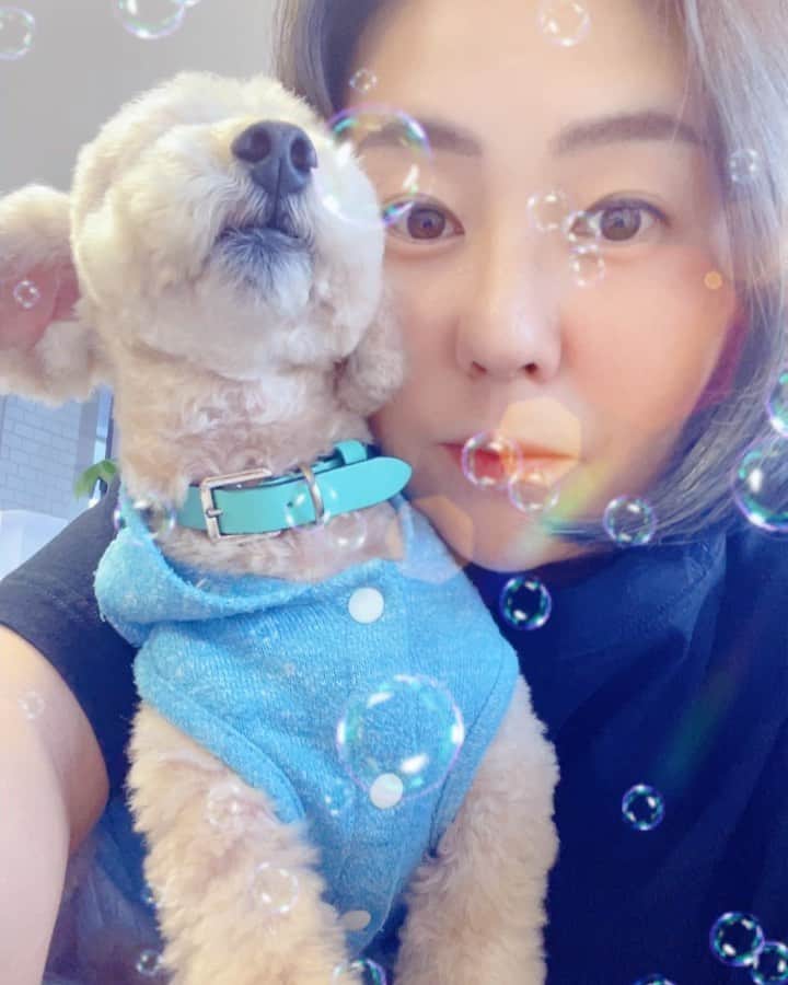 佐伯三貴のインスタグラム：「癒しでしかない🥺❤️  また今月はレッスン、学生の指導、解説とてんこ盛りなので頑張ります🥰🙌」