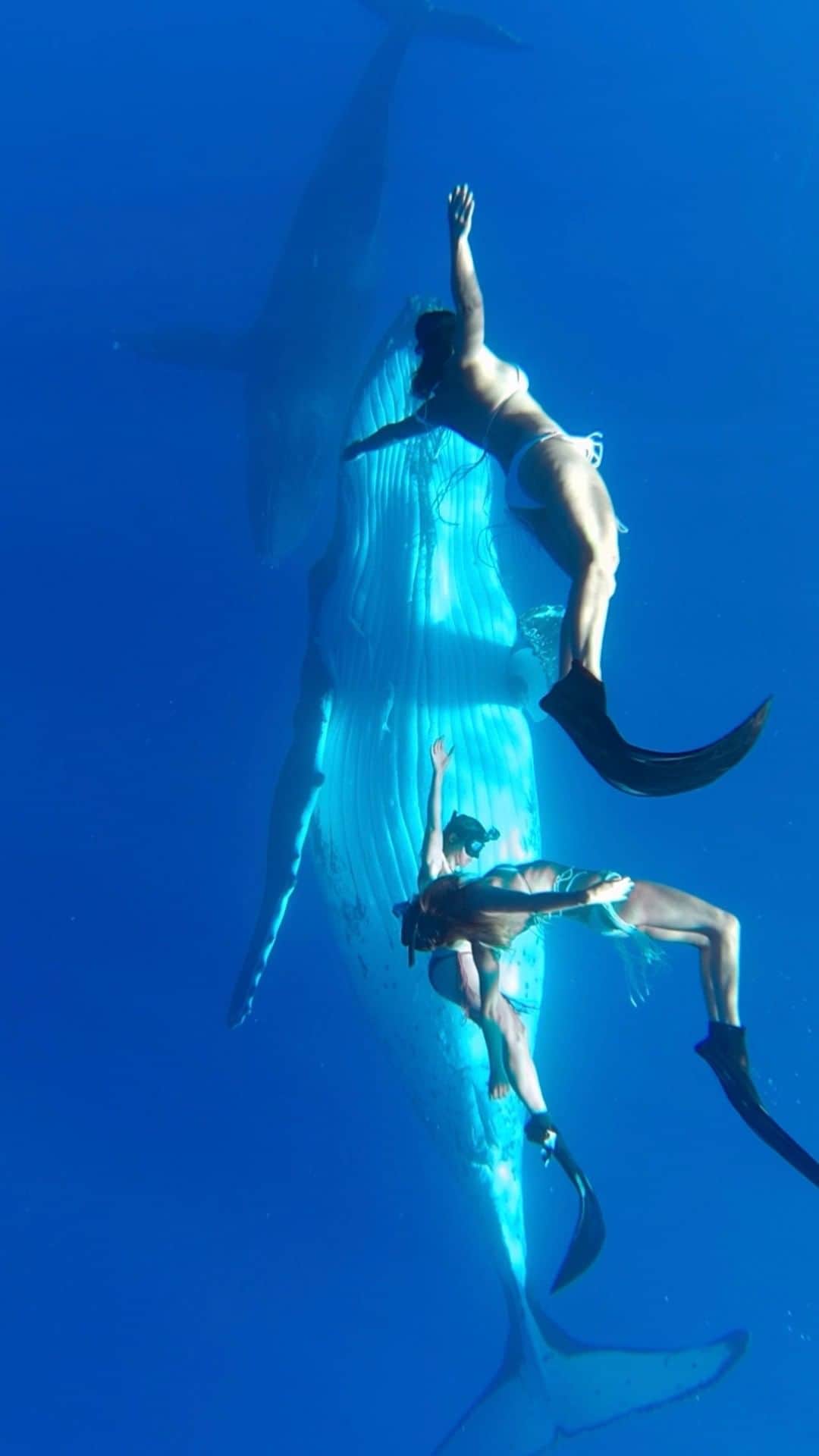 GoProのインスタグラム